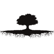projektogrod-szczecin.pl favicon
